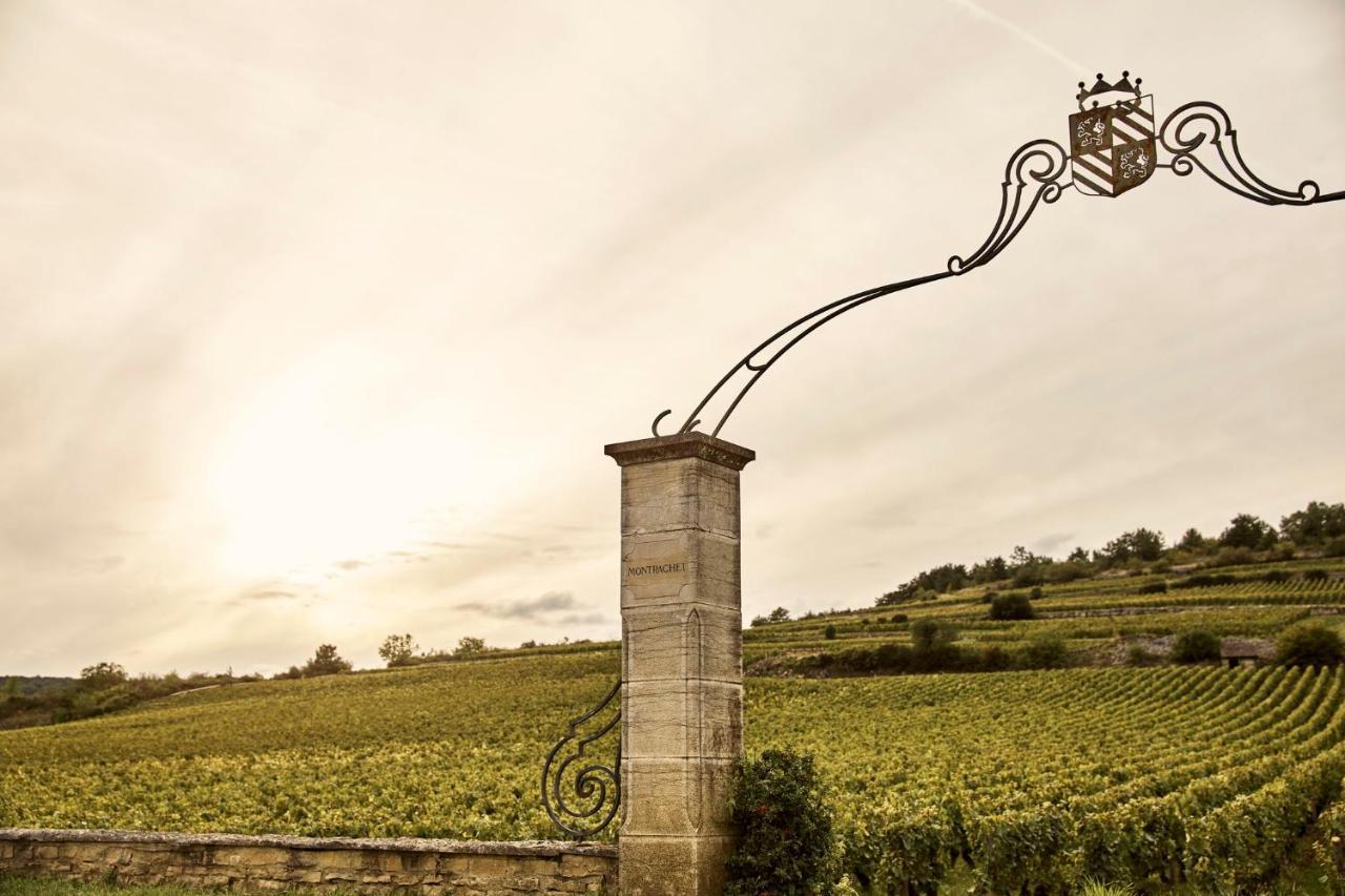 Hôtel Restaurant Le Montrachet Puligny-Montrachet Exterior foto
